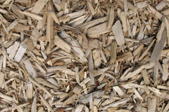 biomass boilers Braunton