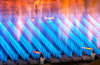 Braunton gas fired boilers